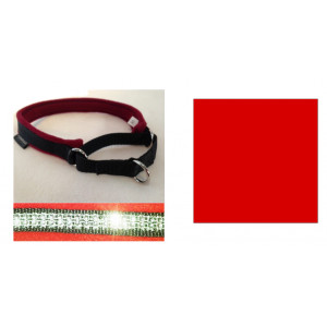 13GHC18REDSS